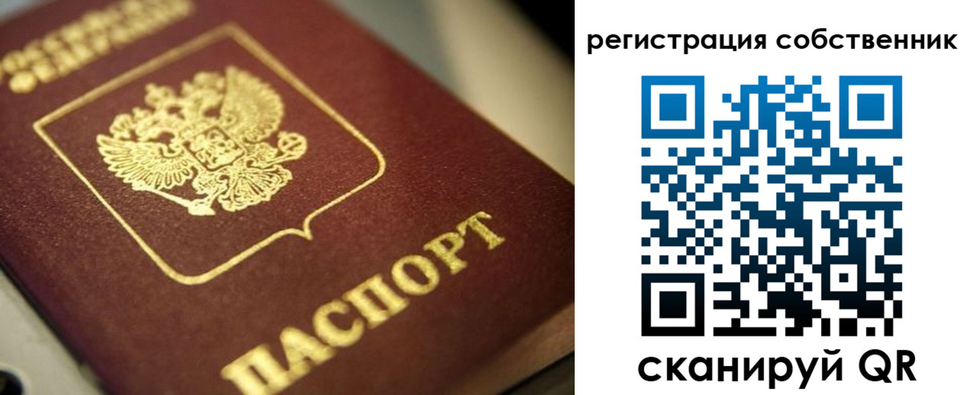 прописка в Курской области